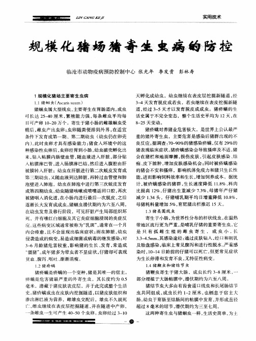 规模化猪场猪寄生虫病的防控