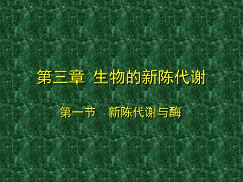 【高中生物】新陈代谢与酶ppt1