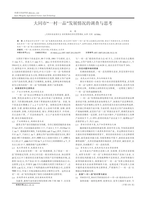 大同市_一村一品_发展情况的调查与思考