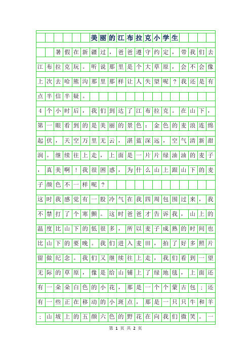 2019年美丽的江布拉克小学生作文