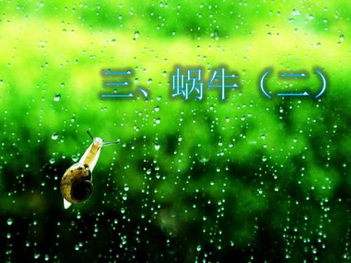 最新科教版科学小学三年级上册《2.3蜗牛(二)》最新精品课件PPT观摩课示范课公开课优质课赛教课课件ppt