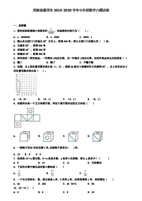 河南省漯河市2019-2020学年小升初数学六模试卷