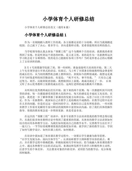 小学体育个人研修总结