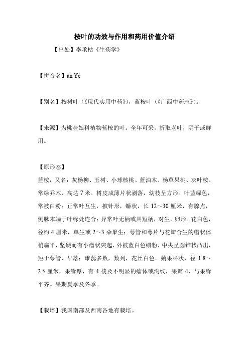 桉叶的功效与作用和药用价值介绍