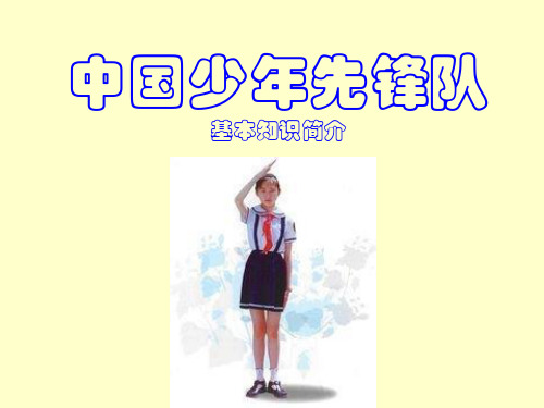 少先队知识简介