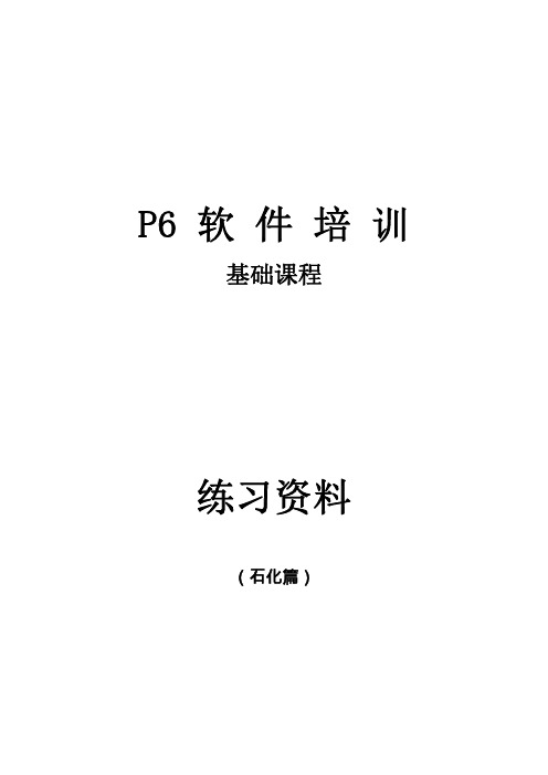 P6练习题(石化篇)net