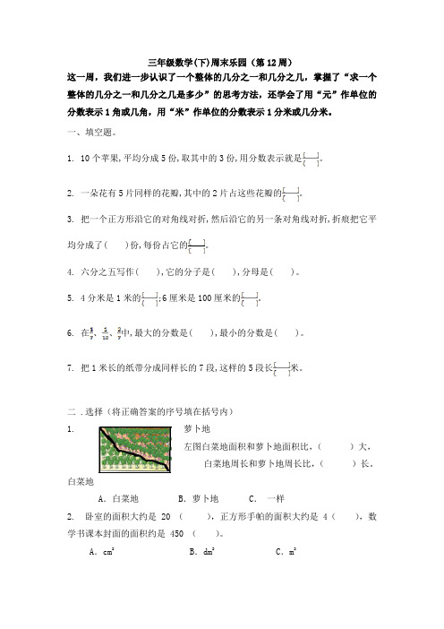 新苏教版三年级数学(下)周末乐园(第12周)