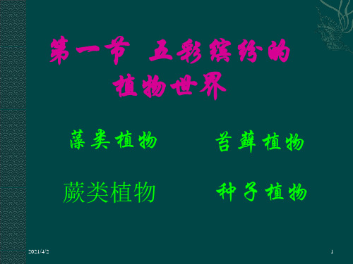 八年级生物上第十四章第一节五彩缤纷的植物世界(课件)苏教版
