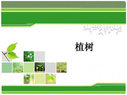 3.4”植树“示范课说课PPT