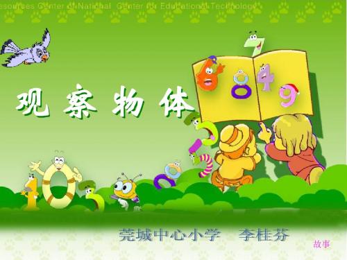 观察物体课件