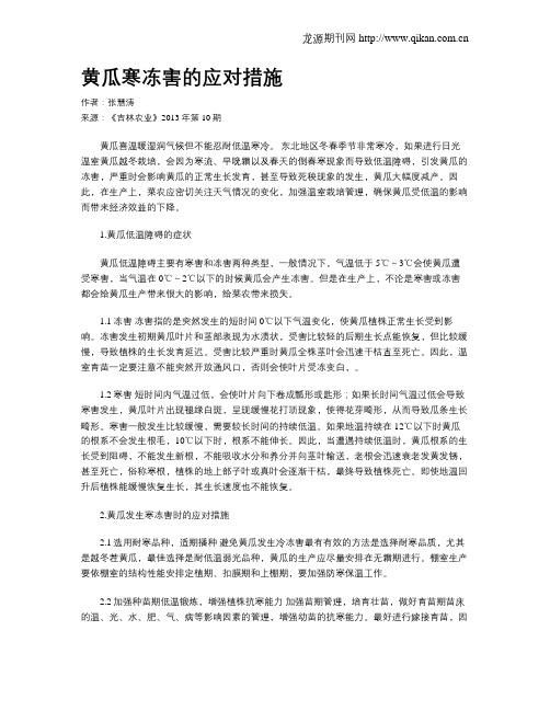 黄瓜寒冻害的应对措施