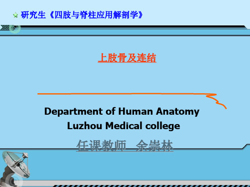 上肢骨及连结PPT课件