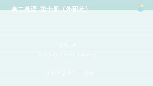 高中英语新外研版精品课件《Reading and vocabulary》9