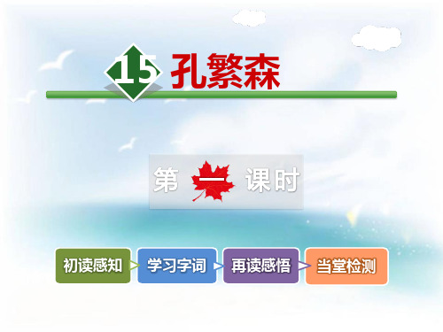 《孔繁森》课件PPT