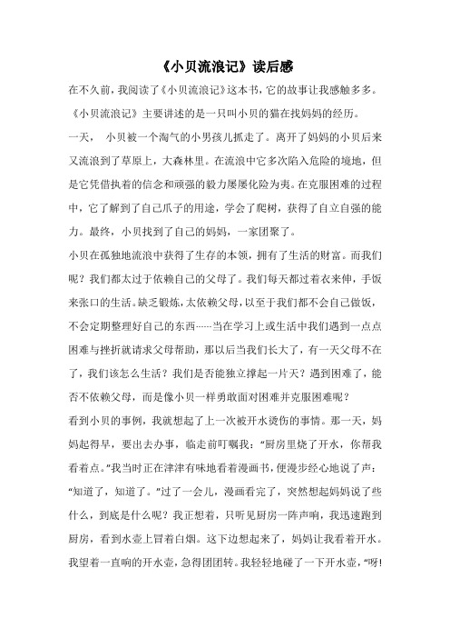 《小贝流浪记》读后感_1