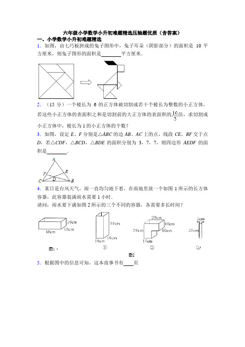 六年级小学数学小升初难题精选压轴题优质(含答案)