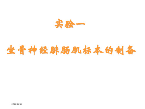 实验一坐骨神经腓肠肌标本的制备