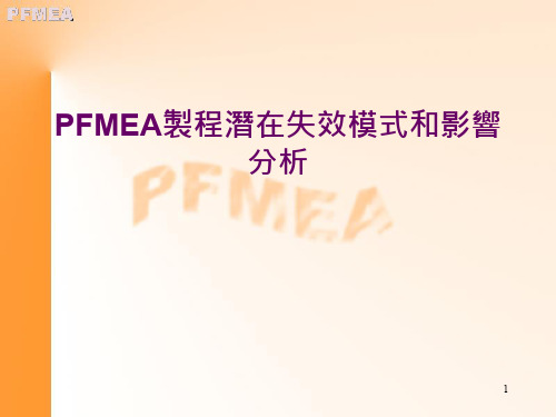 制程潜在失效模式及影响分析(ppt 28页)