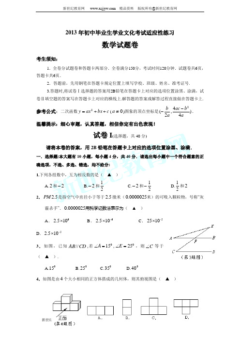 绍兴2013年初中毕业生学业文化考试适应性练习数学试卷(附答案)