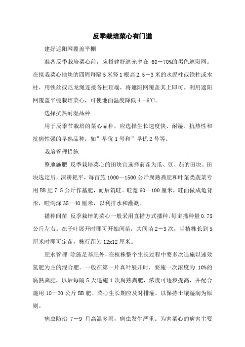 反季栽培菜心有门道