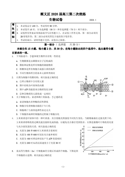 2020届北京市顺义区高三二模生物试题(PDF版)