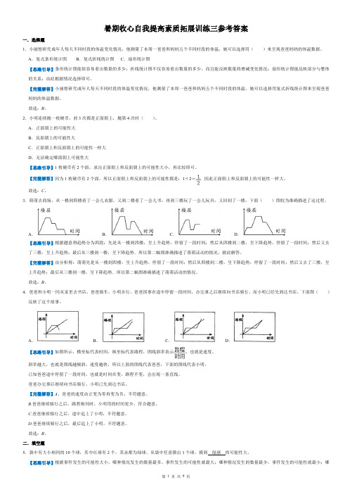 初一数学自我提高素质拓展训练三参考答案