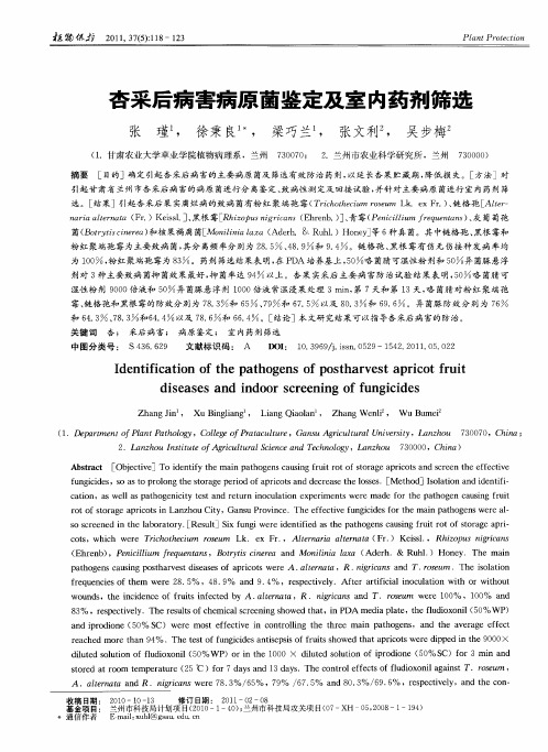 杏采后病害病原菌鉴定及室内药剂筛选