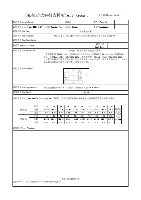 正弦振动试验报告模板