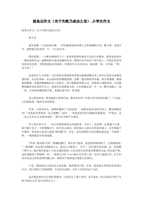 捉鱼记作文(关于失败乃成功之母)_小学生作文