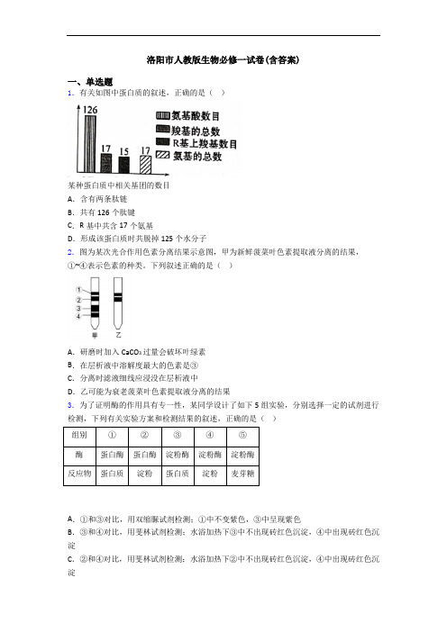 洛阳市人教版生物必修一试卷(含答案)