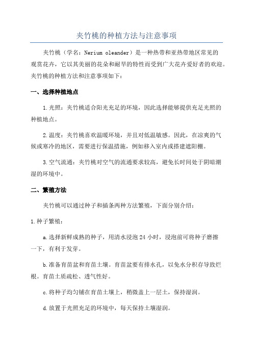 夹竹桃的种植方法与注意事项