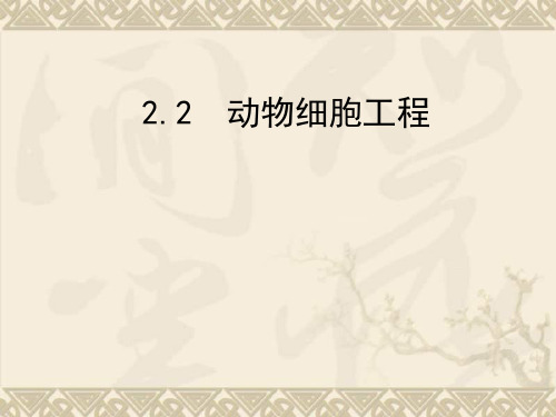 高三生物一轮复习 专题3.2.2.2动物细胞工程同步课件 新人教版