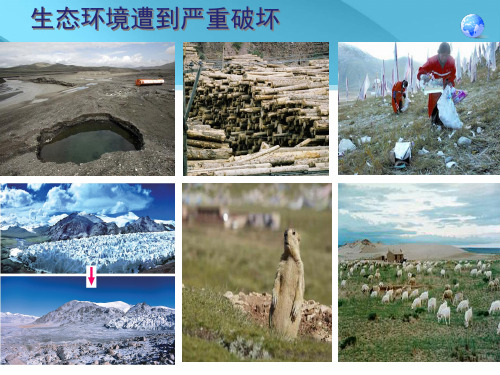 高原湿地——三江源地区(27张ppt)