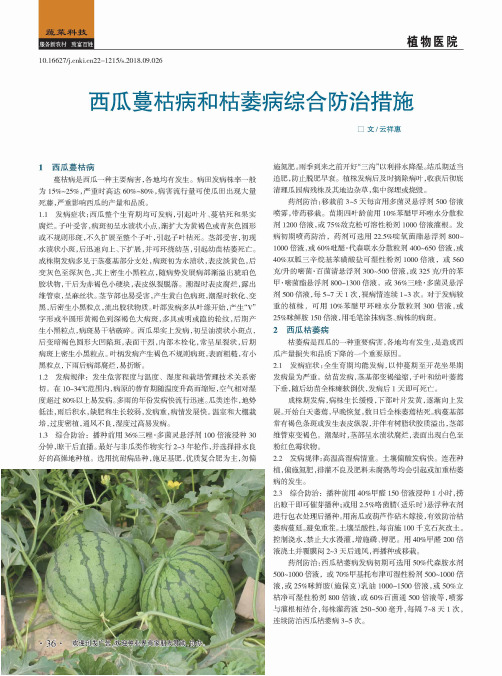西瓜蔓枯病和枯萎病综合防治措施