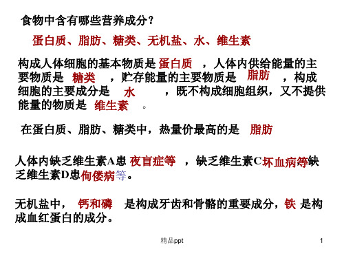 第二节 消化和吸收教学ppt课件