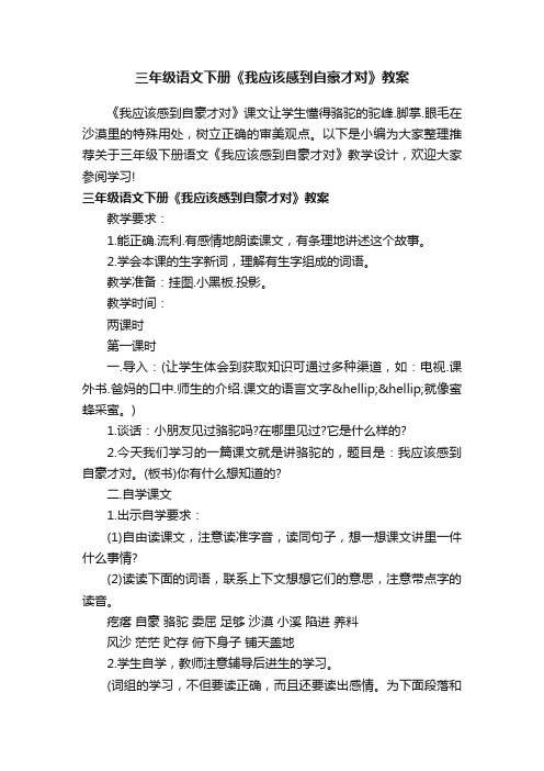 三年级语文下册《我应该感到自豪才对》教案