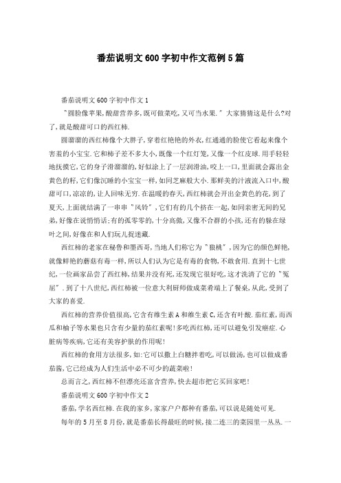 番茄说明文600字初中作文范例5篇