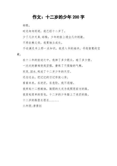 作文：十二岁的少年200字_作文