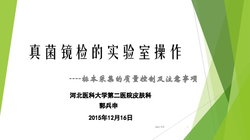 真菌镜检的实验室操作参考PPT