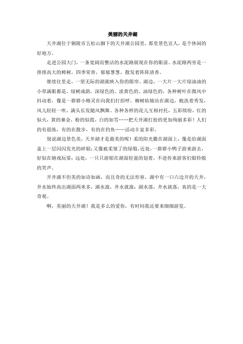 美丽的天井湖