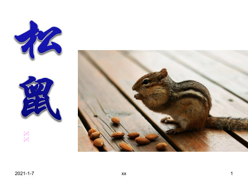 人教版小学语文五年级上册《松鼠》课件
