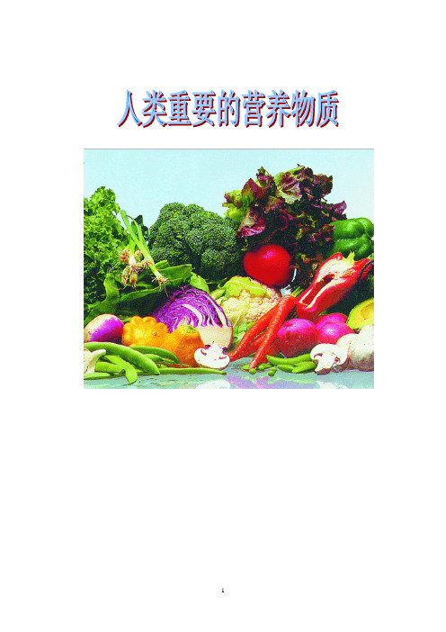 化学网络的应用教案,老师：连云港赣榆韩冬人类重要的营养物质》