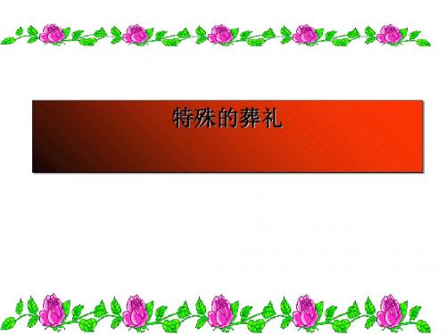 《特殊的葬礼》PPT课件5