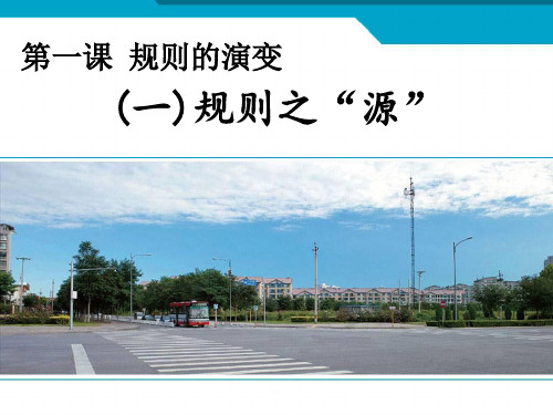 《规则的演变》1PPT课件