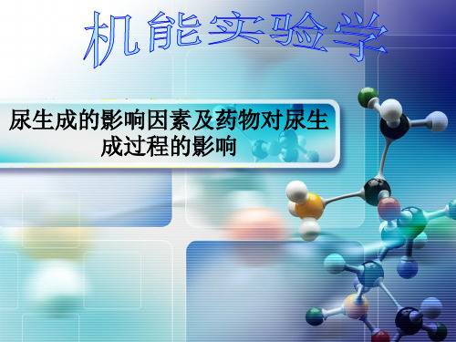 机能实验学 尿生成的影响因素及药物对尿生成过程的影响