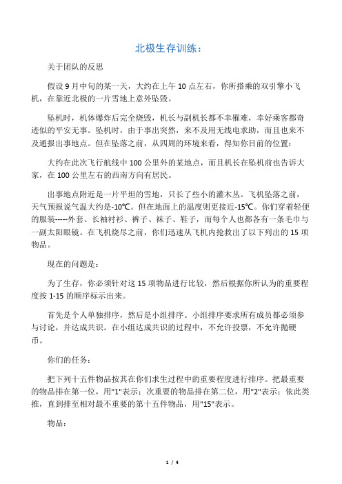 北极求生游戏：关于团队的反思