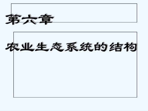 农业生态系统的结构