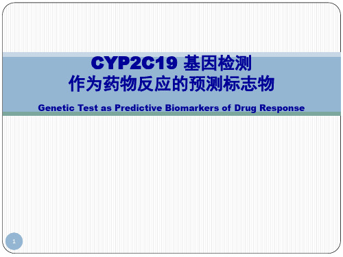 CYP2C19 基因检测