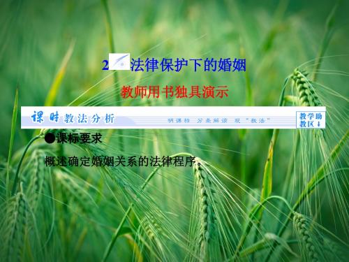5.2 法律保护下的婚姻课件 新人教版选修5课件