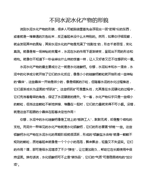 不同水泥水化产物的形貌